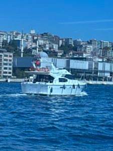 8a088bd0 d6a3 4bd3 8e14 425b751dbf69